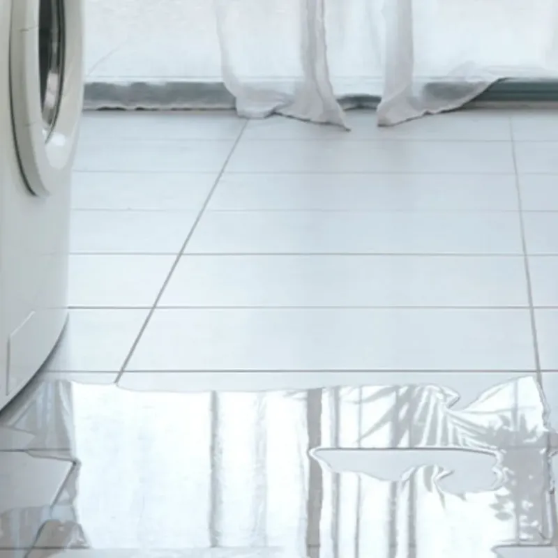 Appliance Leak Cleanup in Plymouth, MI
