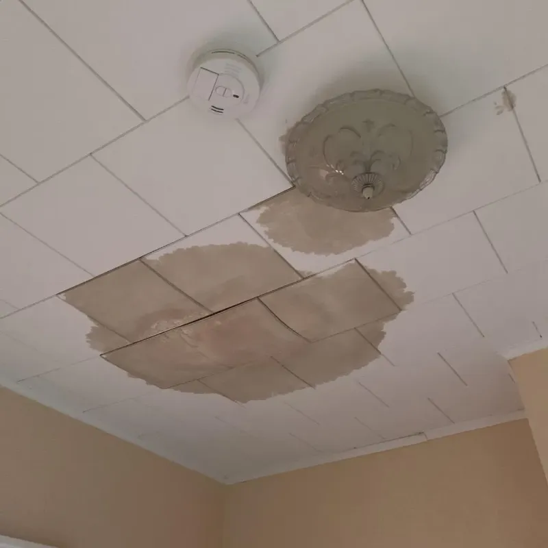 Ceiling Water Damage Repair in Plymouth, MI