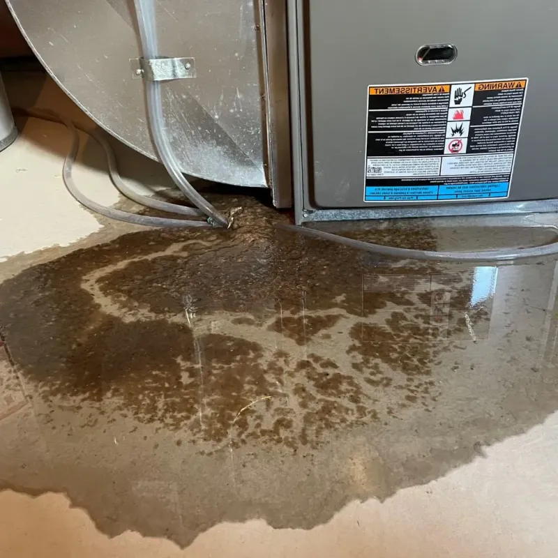 Pipe Burst and Leak Restoration in Plymouth, MI